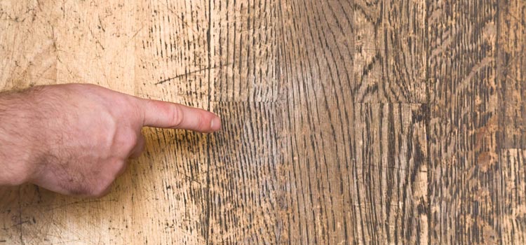 Wood Door Scratch Repair in Cambria